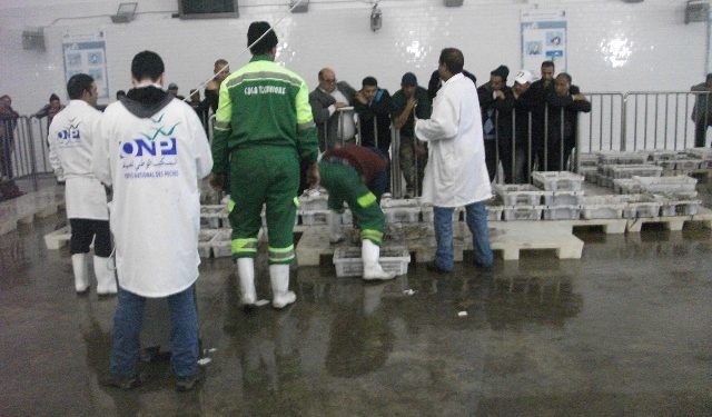 نقابة مستخدمي كازاتيكنيك بالداخلة ينددون باعتداء على زميل لهم بانتيرفت