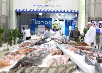 الطلب المتنامي للإسبان والإيطاليّين ينعش الإقبال على أسماك المغرب