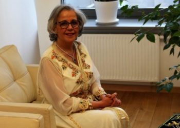الرويسي: المغرب والدنمارك بإمكانهما تحقيق تعاون واعد