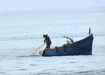 مهنوين ينبهون الى استمرار تبييض الاسماك على قوارب الصيد التقليدي غير نشيطة بالداخلة