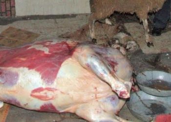 الائتلاف النقابي لموظفي وزارة الفلاحة و الصيد البحري يحذر من ترويج اللحوم و الاسماك دون مراقبة