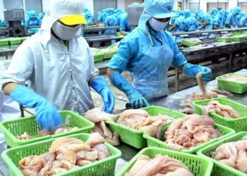 Ramadan/Poisson : Panga vietnamien, crevette chinoise… Tromperies et révélations de professionnels