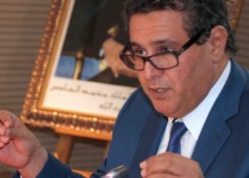 عزيز اخنوش : حوالي 03 ملايين مغربي يعيشون من الصيد البحري
