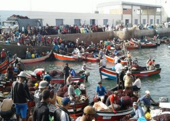 وزارة الصناعة و الاستثمار و التجارة  تعطل مصالح مهنيي الطحالب