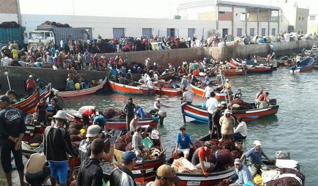 وزارة الصناعة و الاستثمار و التجارة  تعطل مصالح مهنيي الطحالب