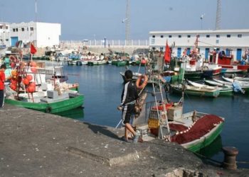 ارتفاع انتاج الصيد التقليدي بالمتوسطي الى 3970 طنا