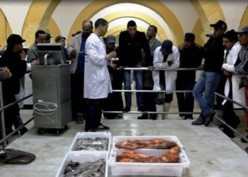 تراجع مفرغات الصيد بميناء الصويرة