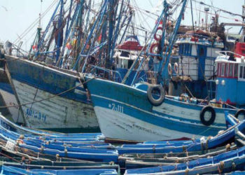 غرفة الصيد البحري بأكادير تشيد بمجهودات الدولة لتنمية الاقاليم الجنوبية