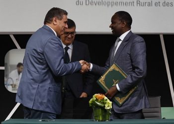 مكناس: توقيع بروتوكول اتفاق لتهيئة منصة لوجستيكية لتسويق الخضر والفواكه في ميناء أبيدجان