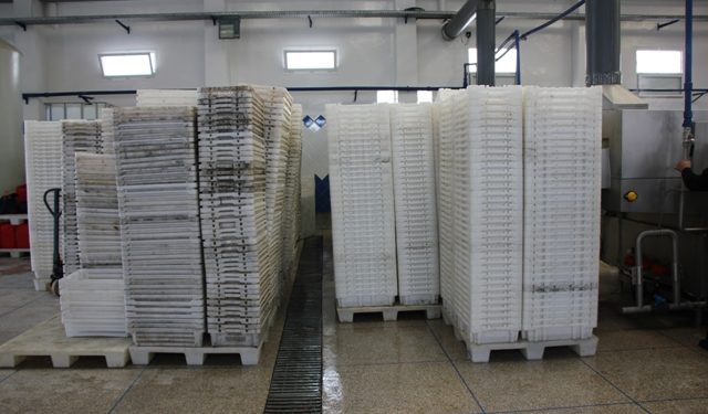 فاس: نزاع يفضح مصير 35000 صندوق بلاستيكي موحدة مسروقة