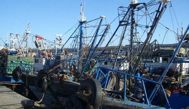 مهنيو الصيد بالجر يستنكرون الاحتجاج في حضرة جلالة الملك ويتضامنون مع عزيز اخنوش .