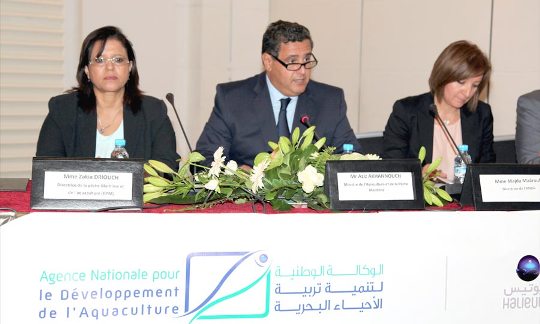 إطلاق طلب إبداء الاهتمام لمشاريع تربية الأحياء البحرية بالمنطقة