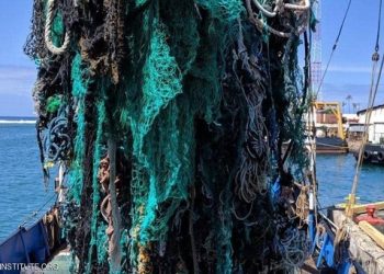 جمع  40 طنا من شباك الصيد من دوامة نفايات المحيط الهادي