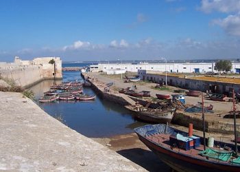 مصالح المراقبة بمندوبية الصيد البحري بالجديدة تسقط 15 قاربا للصيد التقليدي غير قانوني