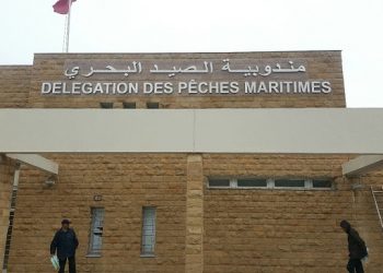 نور الدين العيساوي:لاهوادة في الحرب على قوارب الصيد التقليدي الغير القانونية