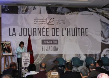 الدريوش تترأس الدّورة الأولى ليوم المحار بالجديدة