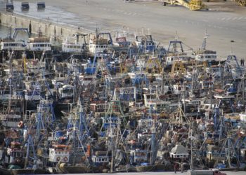 ميناء العيون: خسائر فادحة لأسطول صيد الاسماك السطحية بسبب الاكتظاظ و سوء التسيير.