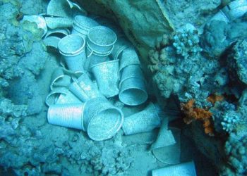 50 ألفا من جسيمات البلاستيك تدخل بطن الإنسان سنويا