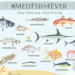MedFish4Ever 2019