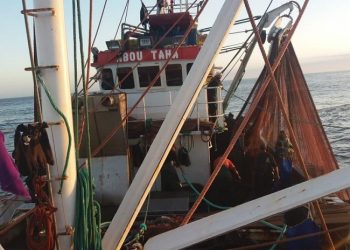 تحويل الأضرار الى منافع، عنوان مبادرة لمهنيّ صيد الأسماك السّطحية في مواجهة اجتياح الرابوز.