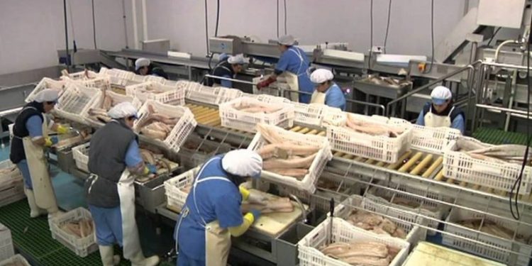 اليونسكو: النساء يشكلن 50% من قوة العمل بالصناعات البحرية