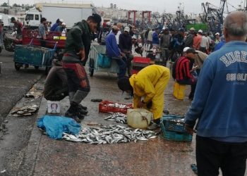 مطالب مهنية بخلق فضاء مناسب لبيع السمك بالتقسيط  بميناء آسفي