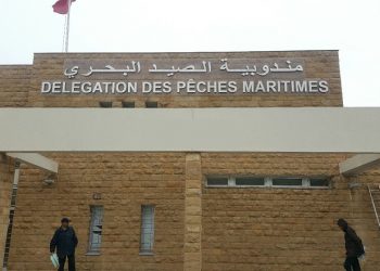 مندوب الصيد البحري بالجديدة يتحدى لوبيات الفساد  و يعد بموسم ناجح في جني الطحالب