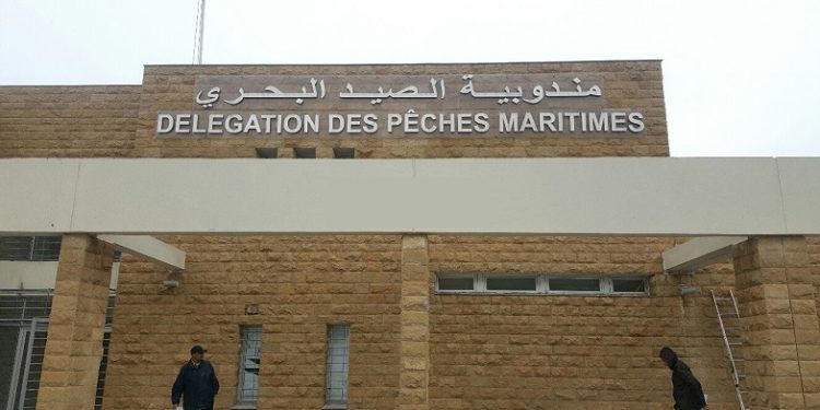 مندوب الصيد البحري بالجديدة يتحدى لوبيات الفساد  و يعد بموسم ناجح في جني الطحالب