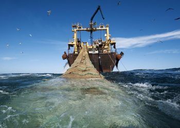 120 مليون يورو قيمة الدعم  لاستراتيجية اليوتيسII