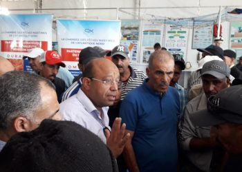 مهنيّو الصيد التقليدي بأسفي يطالبون برفع حصة الاخطبوط