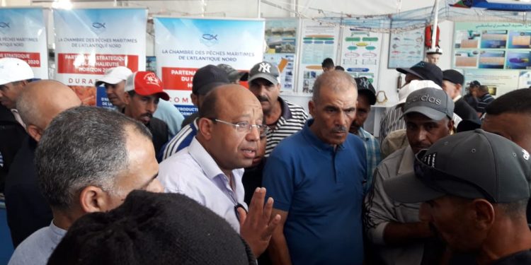 مهنيّو الصيد التقليدي بأسفي يطالبون برفع حصة الاخطبوط