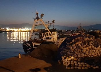 النيكرو يفرض الحظر على مراكب الصيد بالمضيق