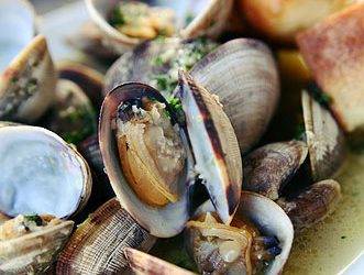 وزارة الصيد البحري تحذر …..صدفيات الصويرة مسمومة !!!!!