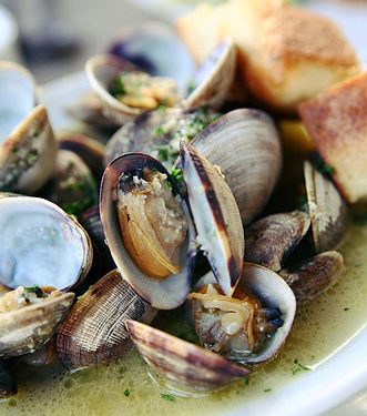 وزارة الصيد البحري تحذر …..صدفيات الصويرة مسمومة !!!!!