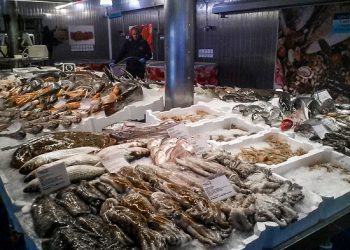 مصر و ايطاليا توقعان بروتوكول تعاون لتسويق المنتجات السمكية