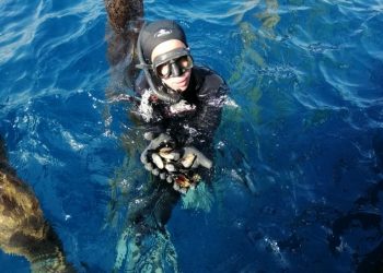 تربية الأحياء البحرية الأفق الوحيد أمام صغار الصيادين في المغرب