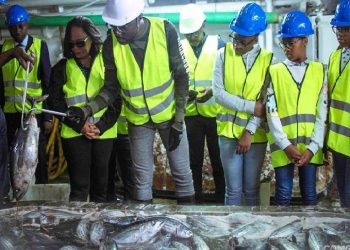 Thon : 1 250 tonnes transbordées à Owendo