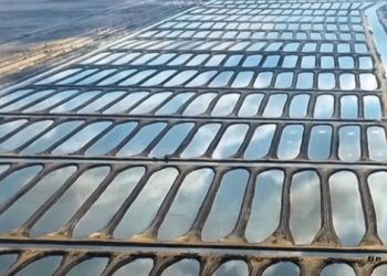 مصر تستهدف مضاعفة مزارعها السمكية بأفريقيا خلال عامين