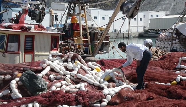 بعد فشل حل الشباك الداعمة،مهنيو صيد السردين بالحسيمة يطالبون بحل جذري لأزمة “النيكرو”