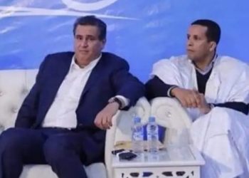 أخنوش يستعين بالفاعلين في الصيد البحري لتعزيز جبهة الحزب بالأقاليم الجنوبية.