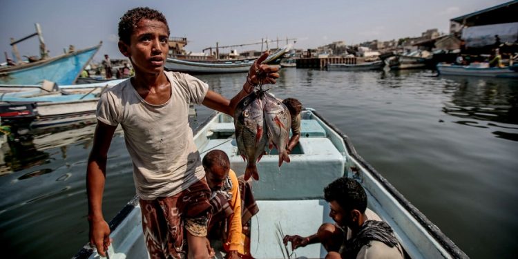 جهود إماراتية لتنشيط الصيد البحري في غرب اليمن