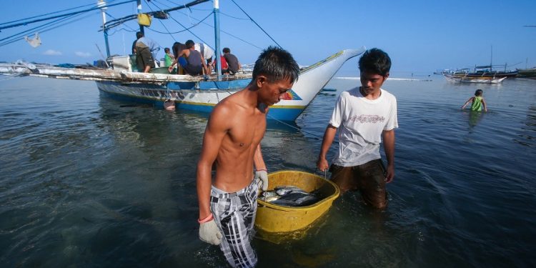 الصين تحظر نشاط الصيد البحري
