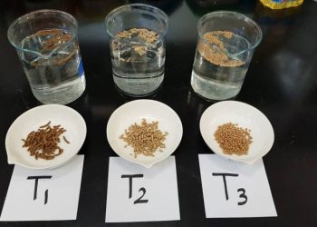 سلطنة عمان تحصد جائزتين عربيتين في قطاع البحوث السمكية