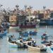 العرائش: لأول مرة مصالح المراقبة تنجح في احباط محاولة تهريب كمية معتبرة من التونة الحمراء.
