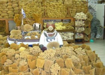 الاسفنج،هذا المخلوق العجيب.