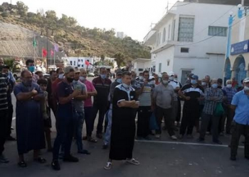 بحارة صيد الأسماك السطحية يشنون إضرابا إنذاريا بميناء الحسيمة
