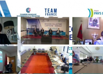 غرفة التجارة والصناعة الفرنسية المغربية تنظم مناظرة افتراضية حول الصيد البحري بالصحراء المغربية