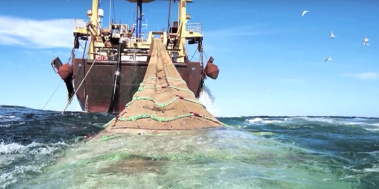 تثيبت الصخور في القاع لمنع نشاط سفن الصيد بالجر في المناطق المحمية.