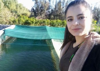 أسماك تنمو في الصحراء.. تجارة مربحة بعيدا عن السواحل في تونس