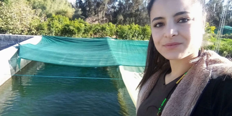 أسماك تنمو في الصحراء.. تجارة مربحة بعيدا عن السواحل في تونس